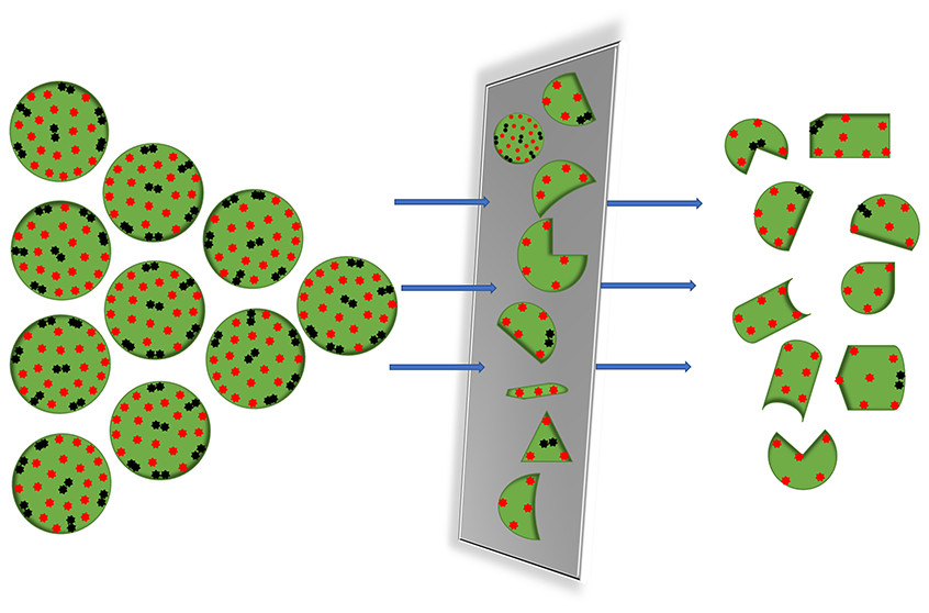 CS-LD10: Figure 1