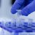 Polymerase Chain Reaction (PCR)