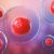 Cell Monitoring
