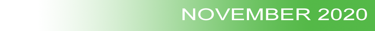 LASER / TEC CONNECT November 2020