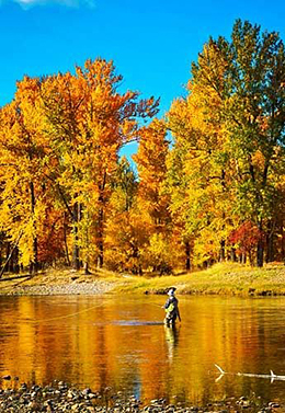 fall-fun