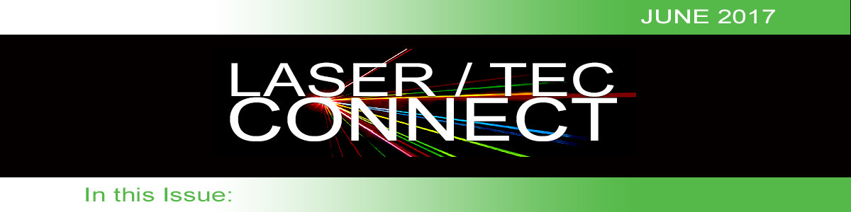 Newsletter Header