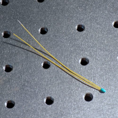 TCS605 5 kΩ Thermistor (2.4mm OD) Sold in 10-packs